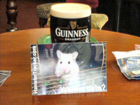 Lucy promotion in Wales.