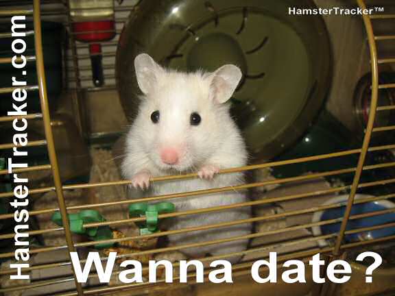 Match Makin' Lucy helping you to have a great Valentine's day.