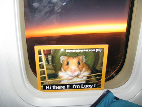 Extreme HamsterTrackin' Seattle, USA by SLD.