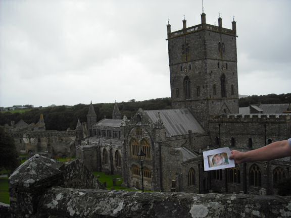 Extreme HamsterTrackin' Wales by Marion.