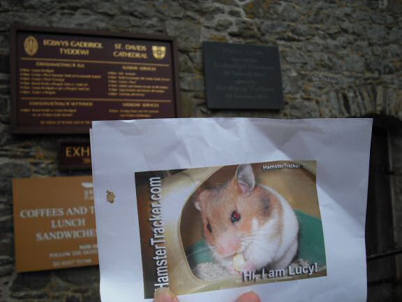 Extreme HamsterTrackin' Wales by Marion.