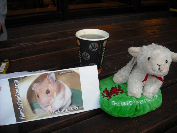 Extreme HamsterTrackin' Wales by Marion.