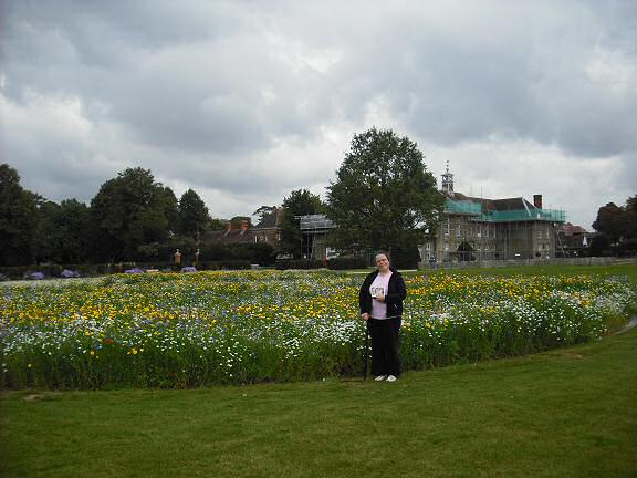 Extreme HamsterTrackin Reigate, UK by Marion.