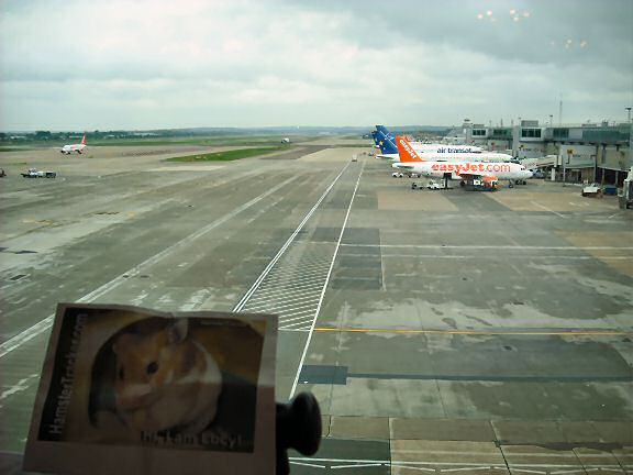 Extreme HamsterTrackin Gatwick Airport London, UK by Marion.