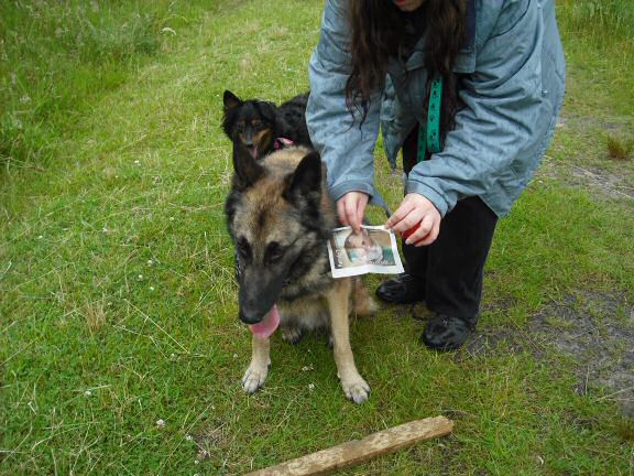 Extreme HamsterTrackin' UK by Marion.