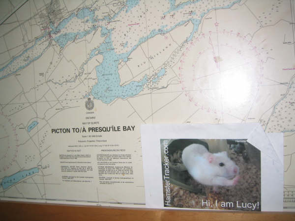 DIY Extreme HamsterTrackin' by Michelle on Lake Ontario, (near) Toronto, Canada!