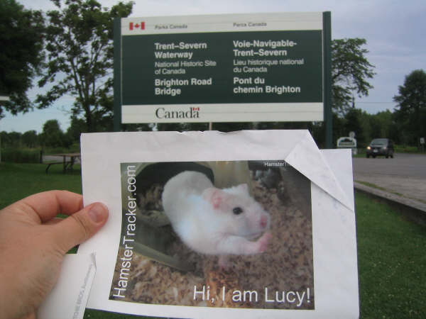 DIY Extreme HamsterTrackin' by Michelle on Lake Ontario, (near) Toronto, Canada!
