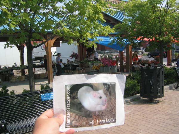 DIY Extreme HamsterTrackin' by Michelle on Lake Ontario, (near) Toronto, Canada!