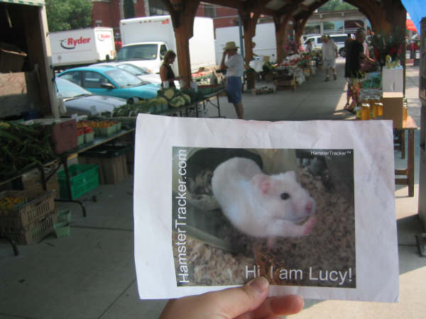 DIY Extreme HamsterTrackin' by Michelle on Lake Ontario, (near) Toronto, Canada!