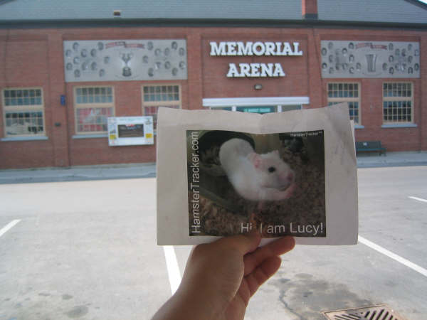 DIY Extreme HamsterTrackin' by Michelle on Lake Ontario, (near) Toronto, Canada!