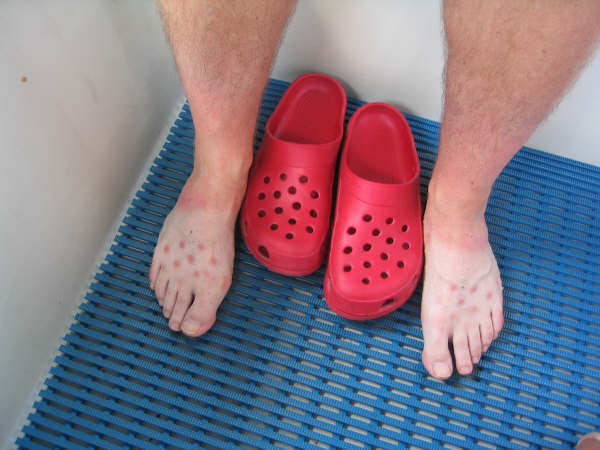 DIY Extreme HamsterTrackin' by Michelle on Lake Ontario, (near) Toronto, Canada!