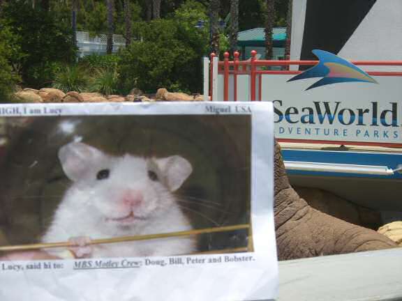 DIY Extreme HamsterTrackin' in Sea World, Orlando, Florida - USA by Miguel!