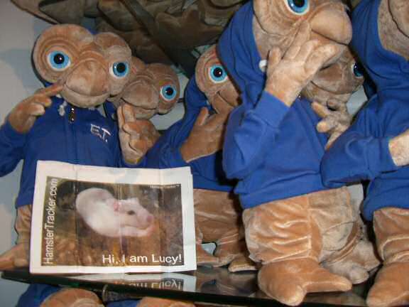 DIY Extreme HamsterTrackin' in Sea World, Orlando, Florida - USA by Miguel!