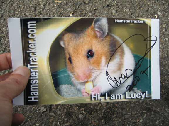 Extreme HamsterTrackin' at the North Sea Jazz festival 2007.