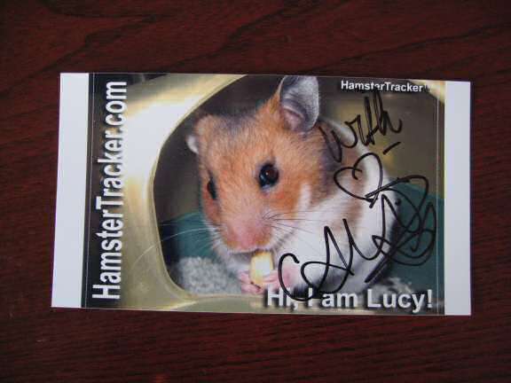 Extreme HamsterTrackin' at the North Sea Jazz festival 2007.