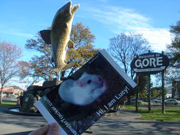 Extreme HamsterTrackin' in New Zealand by Natalie.