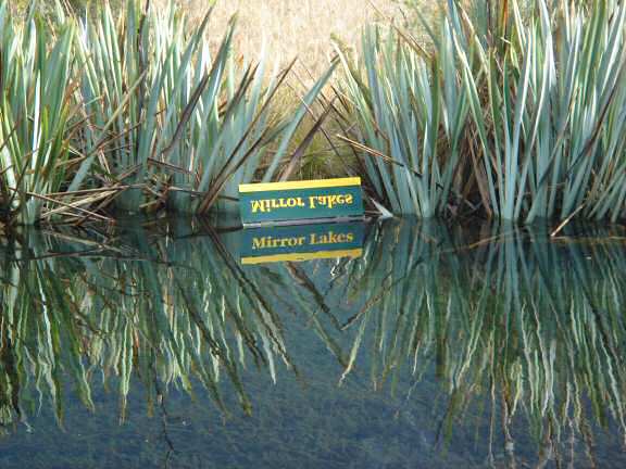 Extreme HamsterTrackin' in New Zealand by Natalie.