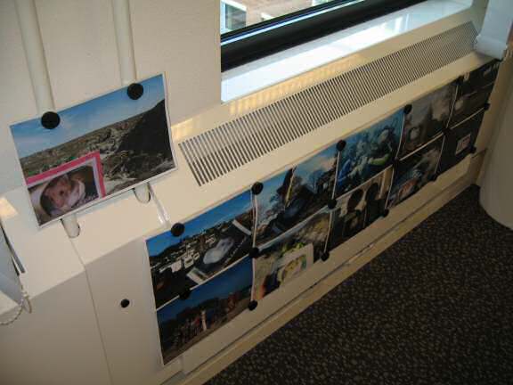 Extreme HamsterTrackin' the new office.