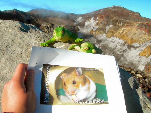 Extreme HamsterTrackin' from Mt. Fuji, by Patricia.