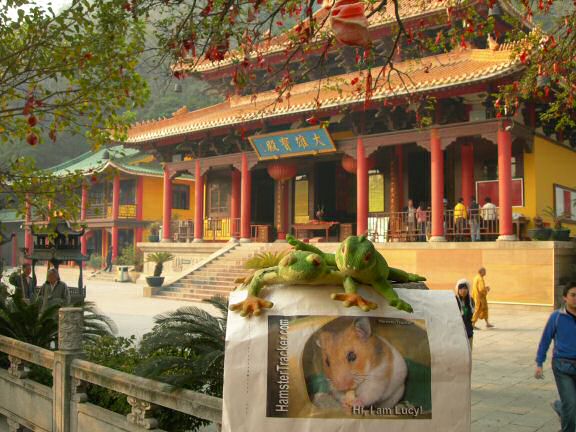 Extreme HamsterTrackin' China by Patricia (and Fernando and Lillian).