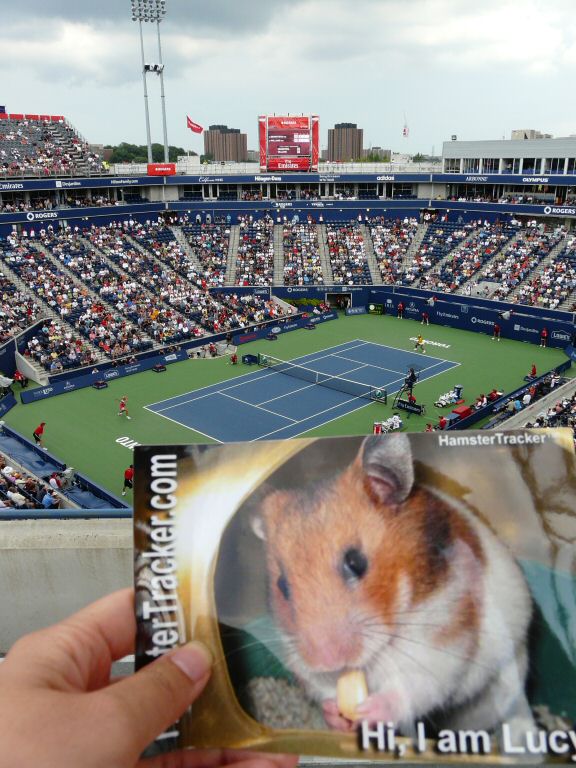 Extreme HamsterTracking Canada, by Patricia.