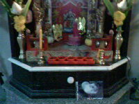 Xtreme HamsterTrackin' in Thailand by S+N.