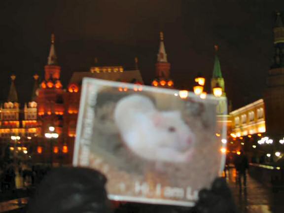 Extreme HamsterTrackin' on the Red Square, Moscow, Russia by Irina and Tanja