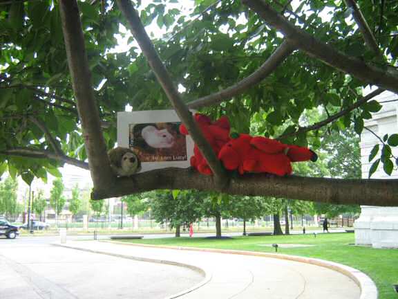 Extreme HamsterTracking in Boston, by Robert.