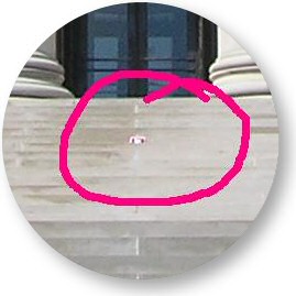 Lucy in Kansas City.