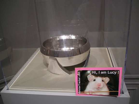 Lucy in Kansas City.