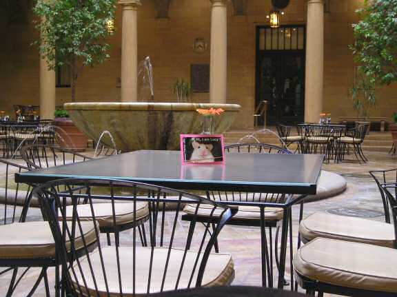 Lucy in Kansas City.