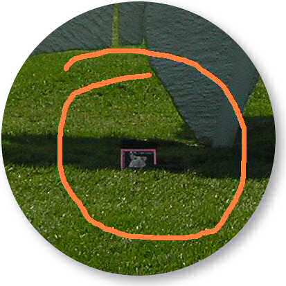 Lucy in Kansas City.