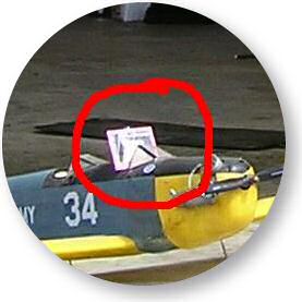 Lucy outside Santa Barbara, California USA, photographed by SLD.