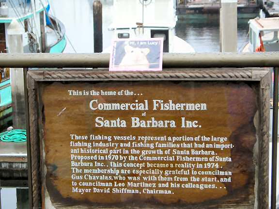 Lucy in Santa Barbara, California USA.