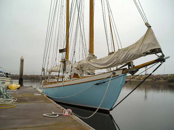 Lucy in Santa Barbara, California USA.