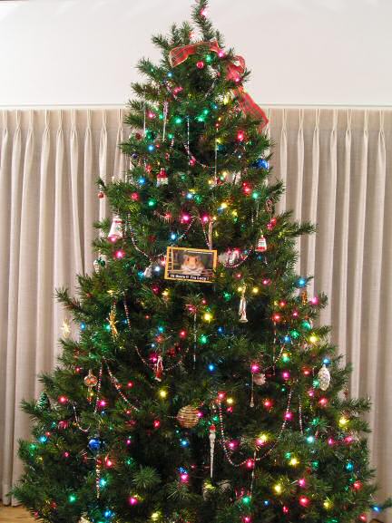 Extreme HamsterTrackin' a X-mas tree, by SLD.
