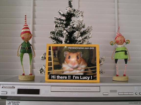 Extreme HamsterTrackin' card made by SLD.