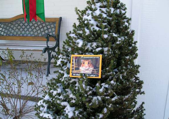 Extreme HamsterTrackin' by SLD in Kanasas USA.