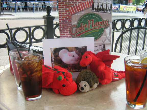 Extreme HamsterTrackin' in Boston USA, by SOMC.