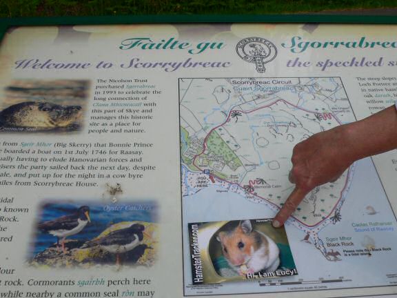 Extreme HamsterTrackin' Scotland by Sandra.