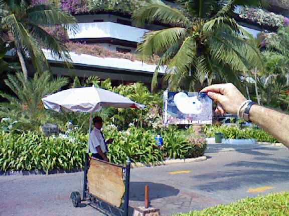 Xtreme HamsterTrackin' in Thailand by S+N.