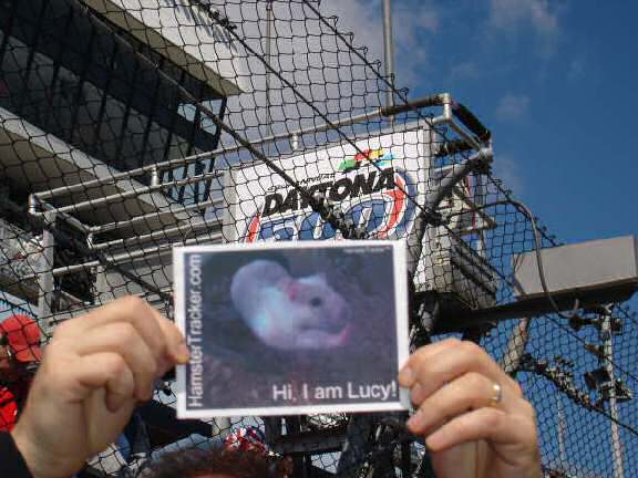 Extreme HamsterTrakin' by Todd at the Daytona 500.