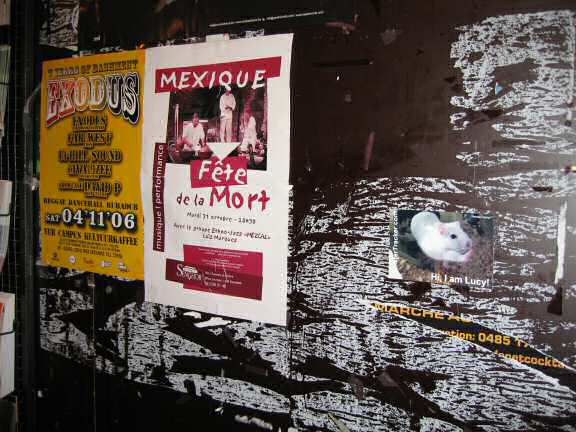 Extreme HamsterTrackin' in Brussels, Belgium!