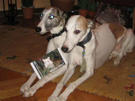 Extreme HamsterTrackin' by DJane Vibrella!