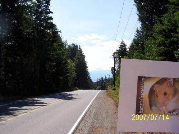 Extreme HamsterTrackin' by Valeria.