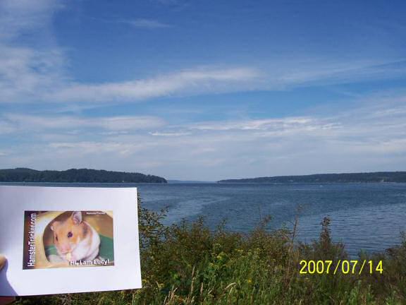 Extreme HamsterTrackin' by Valeria.