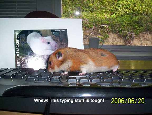 Extreme HamsterTrackin' in Washington USA starring Alexander the bloggin' hamster.