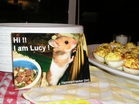 Lucy (3.0) Xtreme HamsterTrackin' by SLD in Los Angeles, USA