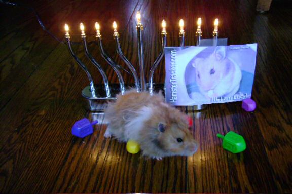 HamsterTracker™-Mailbox fun, sent in by Dena.