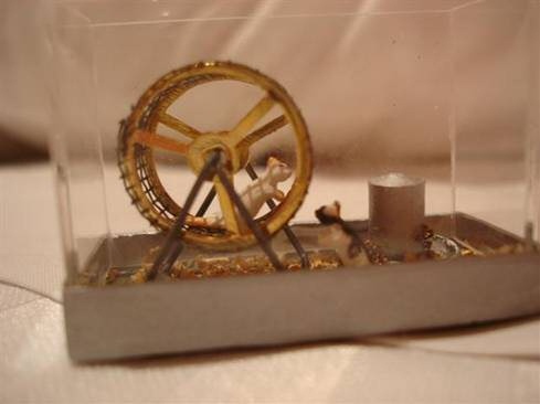 Dollhouse Pocket Pet sent in by Jolanda.